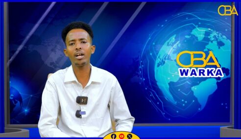 Nuxurka Warka:8-11-2025