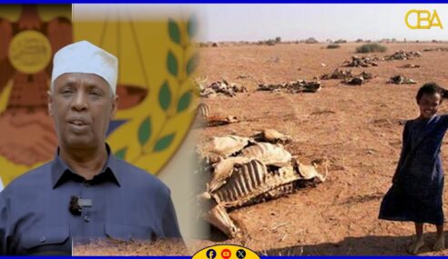 Somaliland ayaa ku dhawaaqday in abaartii sii adkaatay, dadkiina ay halis ugu jiraan inay …