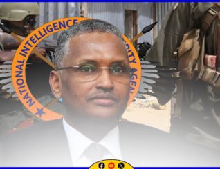 Taliska Nabad sugida ee DFS ayaa Gacanta Ku Dhigtay Shabakad Al-Shabaab Ah oo Ka Kooban 11 xubnood.