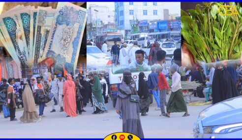 Warbixin “Shilinka ugu horeeya ee na soo gala, waxaanu ku horaysiinaa waa qaadka”