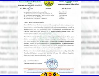 Wasaaradda Hawlaha Guud Oo Laashay Ruqsadaha 30 Shirkadood Oo Aan Muddo Dheer Cusboonaysiin Shatiga Shaqadooda.