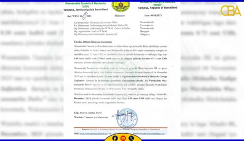 Wasaaradda Hawlaha Guud Oo Laashay Ruqsadaha 30 Shirkadood Oo Aan Muddo Dheer Cusboonaysiin Shatiga Shaqadooda.