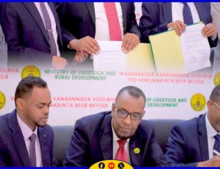 Wasaaradda Xanaanada Xoolaha iyo Cusbitaalka Guud oo wada saxeexday heshiis wada-shaqayneed (MoU)