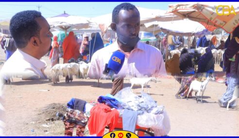 “Waxan ka shaqayn jiray dhismaha laakiin waan isbixinwaayay maadaamo oo aan xaasle ahay, waxan bilaabay ganacsigan yar” Cadnaan Maxamed Axmed