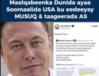 Ninka ugu taajirsan dunida ayaa Soomaalida gobolka Minnesota ku shaanbadeeyay Musuqmaasuq baaxad leh: