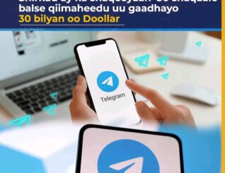 Shirkad ay ka shaqeeyaan 30 shaqaale balse qiimaheedu uu gaadhayo 30 bilyan oo DoollarTelegram: Shirkad yar iyo qiimo dunida yaab gelinaya