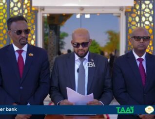 Xukuumadda Jamhuuriyadda Somaliland ayaa goaamo ka soo saartay Maamulka Hawada iyo eVisa