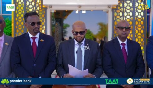Xukuumadda Jamhuuriyadda Somaliland ayaa goaamo ka soo saartay Maamulka Hawada iyo eVisa