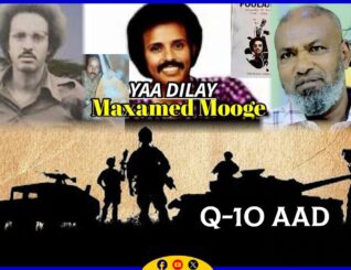 Yaa dilay Halgamaa Maxamed Mooge? Taxanaha Bari ilaa Galbeed || Waayojoog | Halgamaa Yuusuf Maydal