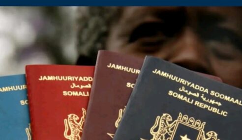 Aljazeera ayaa Ogaatay in Nidaamka E-Visa ee Soomaaliya Xogta Kumanaan Qof Halis Geliyay: