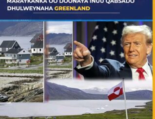 Maraykanka oo doonaya inuu qabsado Dhulweynaha greenland