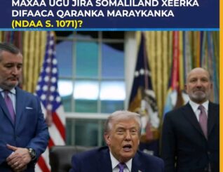 MAXAA UGU JIRA SOMALILAND XEERKA DIFAACA QARANKA MARAYKANKA (NDAA S.1071)?