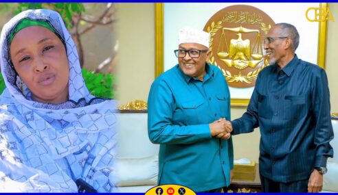 “Madaxwayne Cirro shaqo fiican oo itus oo itaabsii ah ayuu wadanka ka qabtay” Nuura Xasan.