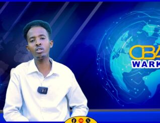 Nuxurka Warka:11-13-2025