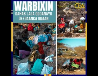 Warbixin:- Dahab laga helay deegaanka Uudan ee waqooyiga Arabsiyo.