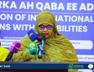 “Waxaan mar kasta awoodda saarnaa inaan ka shaqeyno sidii ay u heli lahaayeen adeeg buuxa”Wasiirka Wasaaradda Shaqada iyo Arrimaha Bulshada.