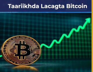 Taariikhda Bitcoin: Kor u Kacyo Taariikhi ah, Hoos-u-dhacyo Weyn iyo Safarkii Ay Ku Gaadhay Boqolaal Kun oo Dollar”