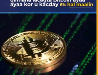 “Bitcoin oo Ku Laabatay Koboc Degdeg ah, Suuqa Crypto-ga oo Hal Maalin ku Kacay in ka Badan 6%”