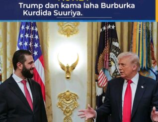 Trump dan kama laha Burburka Kurdida Suuriya.