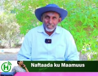 Eng Maxamed Haybe ayaa u jawaabay Cali Maxamed Geedi.