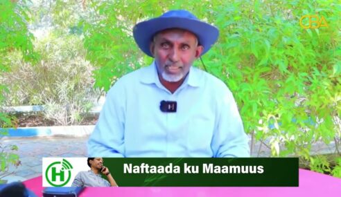 Eng Maxamed Haybe ayaa u jawaabay Cali Maxamed Geedi.