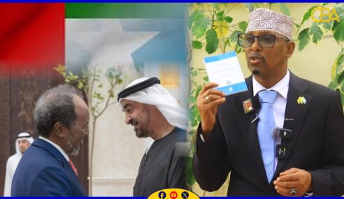 “Heshiiska Xasan Sheekh iyo Imaaraadka u dhaxeeyey ee dhaqaalaha ku saleysnaa, BFS aysan, Jeesow, BFS