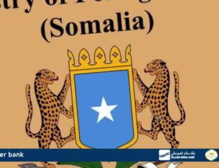 Kala-shaki dawladeed kadib, Safiirkii Soomaaliya ee Hindiya ayaa dib ugu noqday shaqadiisii