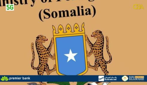 Kala-shaki dawladeed kadib, Safiirkii Soomaaliya ee Hindiya ayaa dib ugu noqday shaqadiisii