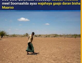 DEG-DEG| Qaramada Midoobay: Saddex-meelood meel Soomaalida ayaa wajahaya gaajo daran bisha Maarso