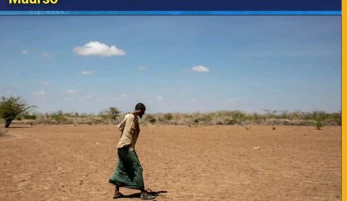 DEG-DEG| Qaramada Midoobay: Saddex-meelood meel Soomaalida ayaa wajahaya gaajo daran bisha Maarso