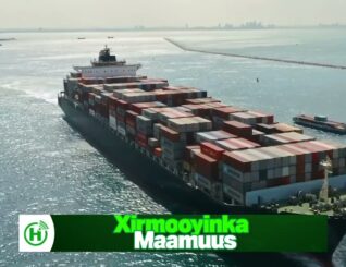 Masar oo Shuruud ku Xirtay Marin-u-helka Itoobiya ee Badda Cas xili dowladda Somaaliya ay ka sugeyso difaaca xeebaheeda.