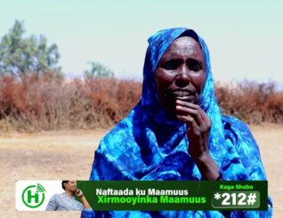 Warbixin ku saabsan xoolo-dhaqato usoo hayaamay Gabiley abaaraha dartood