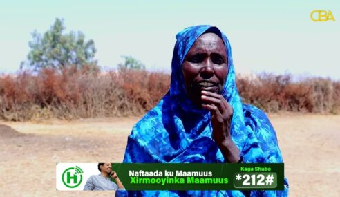 Warbixin ku saabsan xoolo-dhaqato usoo hayaamay Gabiley abaaraha dartood