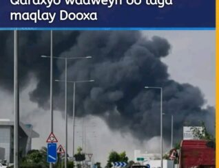 Qaraxyo waaweyn oo laga maqly dooxa