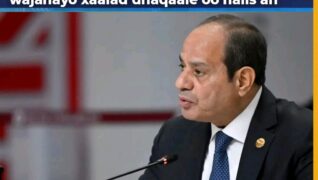 Dhaqaalaha Masar oo Halis Galay, Giniga oo Gaadhay Heerkii Ugu Hooseeyay 8 Bilood