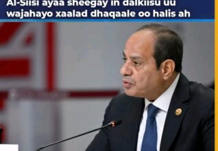 Dhaqaalaha Masar oo Halis Galay, Giniga oo Gaadhay Heerkii Ugu Hooseeyay 8 Bilood