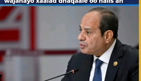 Dhaqaalaha Masar oo Halis Galay, Giniga oo Gaadhay Heerkii Ugu Hooseeyay 8 Bilood