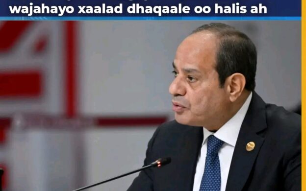 Dhaqaalaha Masar oo Halis Galay, Giniga oo Gaadhay Heerkii Ugu Hooseeyay 8 Bilood