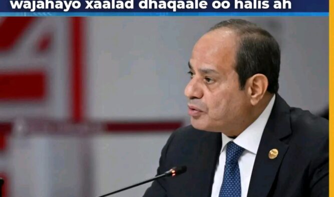 Dhaqaalaha Masar oo Halis Galay, Giniga oo Gaadhay Heerkii Ugu Hooseeyay 8 Bilood