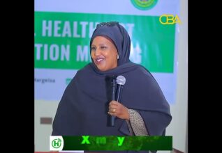 “Intii aan xilka hayay waxaan xooga saaray sidii loo hirgalinlahaa xeerkan”Wasiir ku xigeenka Caafimaadka JSL