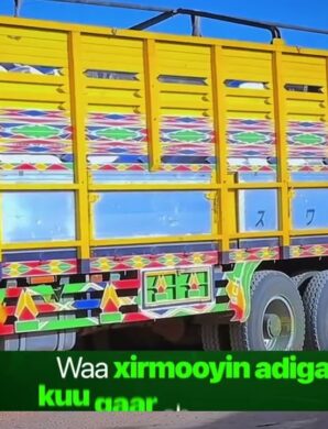 Shirkada laydhka Burco ee Heco oo Qoysas danyar ah u qaybisay Raashin.