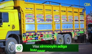 Shirkada laydhka Burco ee Heco oo Qoysas danyar ah u qaybisay Raashin.