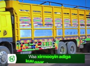 Shirkada laydhka Burco ee Heco oo Qoysas danyar ah u qaybisay Raashin.