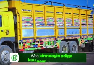 Shirkada laydhka Burco ee Heco oo Qoysas danyar ah u qaybisay Raashin.