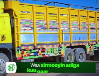 Shirkada laydhka Burco ee Heco oo Qoysas danyar ah u qaybisay Raashin.