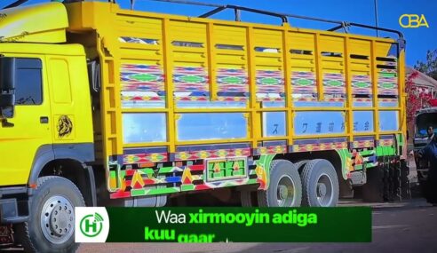 Shirkada laydhka Burco ee Heco oo Qoysas danyar ah u qaybisay Raashin.