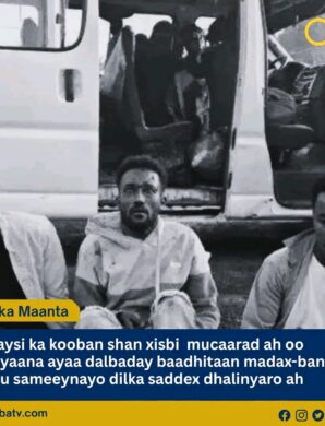 Isbahaysi ka kooban shan xisbi oo mucaarad ah oo Itoobiya ayaa dalbaday baadhitaan madax-bannaan oo lagu sameeynayo dilka saddex dhalinyaro ah oo lagu sheegay inuu ka dhacay Abeshige, Gobolka Badhtamaha Itoobiya