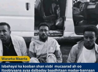 Isbahaysi ka kooban shan xisbi oo mucaarad ah oo Itoobiya ayaa dalbaday baadhitaan madax-bannaan oo lagu sameeynayo dilka saddex dhalinyaro ah oo lagu sheegay inuu ka dhacay Abeshige, Gobolka Badhtamaha Itoobiya