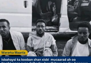 Isbahaysi ka kooban shan xisbi oo mucaarad ah oo Itoobiya ayaa dalbaday baadhitaan madax-bannaan oo lagu sameeynayo dilka saddex dhalinyaro ah oo lagu sheegay inuu ka dhacay Abeshige, Gobolka Badhtamaha Itoobiya