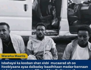 Isbahaysi ka kooban shan xisbi oo mucaarad ah oo Itoobiya ayaa dalbaday baadhitaan madax-bannaan oo lagu sameeynayo dilka saddex dhalinyaro ah oo lagu sheegay inuu ka dhacay Abeshige, Gobolka Badhtamaha Itoobiya
